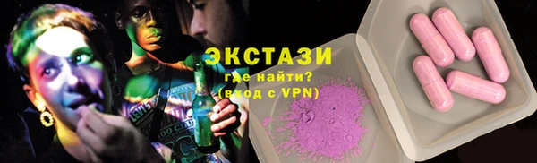 амф Каменка