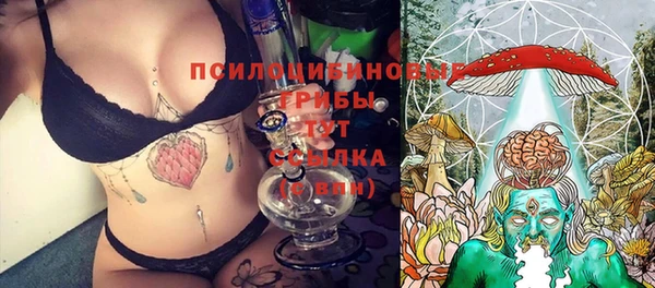 амф Каменка