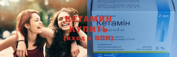 амф Каменка