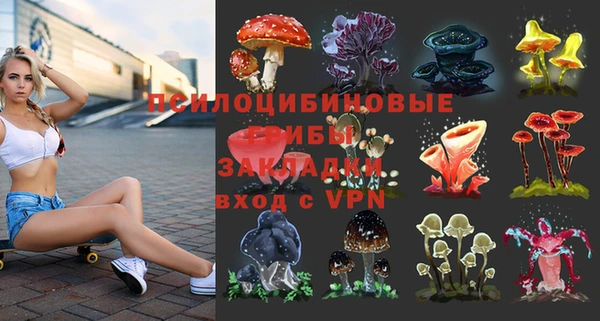 мдпв Каменск-Шахтинский
