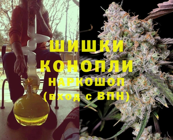 амф Каменка