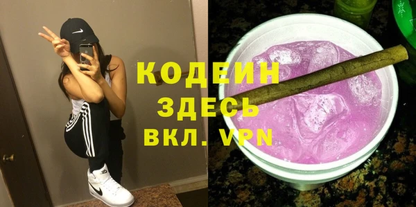 амф Каменка