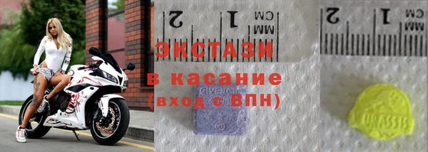 амф Каменка